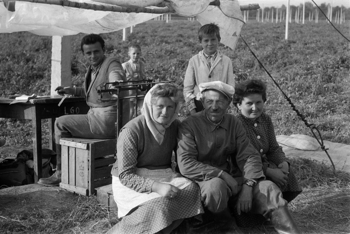 Komlószedők pihenőn az átvételi pontnál egy horvátkimlei komlóültetvényen, 1962 (Forrás: Fortepan / Mohl József)